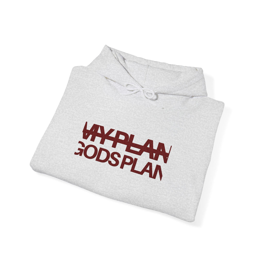 Skinny | Embroidered Gods plan Christian hoodie