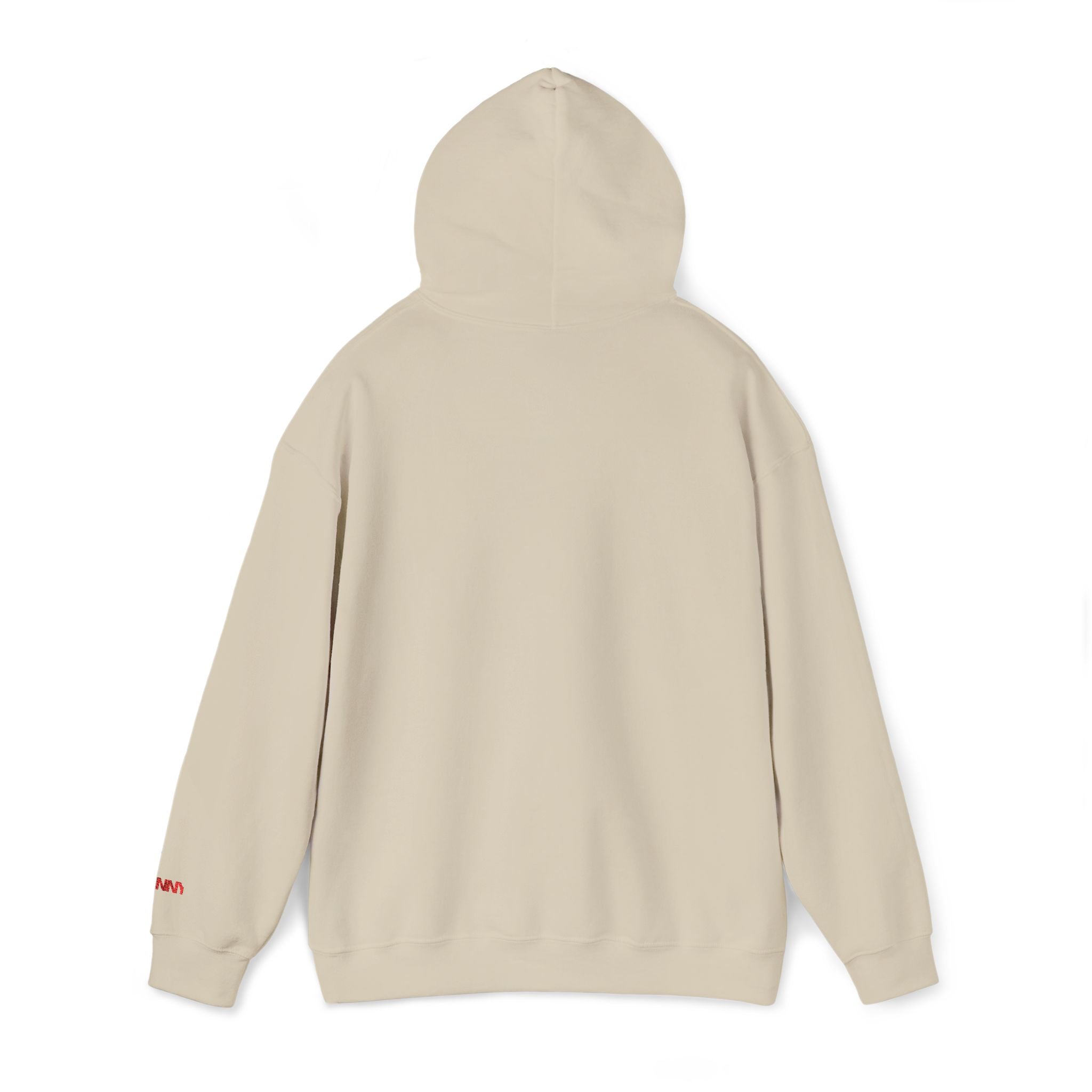 Skinny | Embroidered Gods plan Christian hoodie